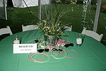 at the  benefit for the NYU School of Medicine - Mental Illness Prevention Center hosted by Anna Anissimova at the Southampton residence of Denise Rich on August 14, 2004 at the Rich residence in Southampton, N.Y.<br>photo by Rob Rich copyright 2004 516-676-3939 robwayne1@aol.com