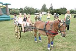 Taking a ride at the Albert Einstein College of Medicine's Family Day Carnival at the Villa Maria in Watermill on 8-15-04<br>  photo by Rob Rich copyright 2004 516-676-3939  robwayne1@aol.com