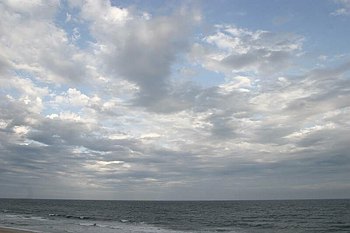 IMG_8784