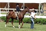 Leah Lane  at the 29th. Annual Hampton Classic Horse Show in Bridgehamtpon.<br>photo by Rob Rich copyright 2004<br>516-676-3939<br>robwayne1@aol.com