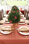 The Farkas Table at the Hampton Classic Horse Show on September 5, 2004  in Bridgehampton, N.Y.<br> (photo by Rob Rich copyright 2004 516-676-3939)
