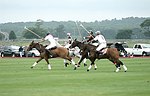   at the Mercedes Benz Polo Challenge on 7-24-04 in Bridgehamton, N.Y.  photo by Rob Rich copyright 2004<br>516-676-3939  robwayne1@aol.com