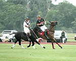   at the Mercedes Benz Polo Challenge on 7-24-04 in Bridgehamton, N.Y.  photo by Rob Rich copyright 2004<br>516-676-3939  robwayne1@aol.com