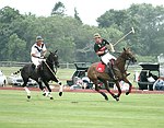   at the Mercedes Benz Polo Challenge on 7-24-04 in Bridgehamton, N.Y.  photo by Rob Rich copyright 2004<br>516-676-3939  robwayne1@aol.com