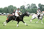   at the Mercedes Benz Polo Challenge on 7-24-04 in Bridgehamton, N.Y.  photo by Rob Rich copyright 2004<br>516-676-3939  robwayne1@aol.com