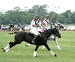   at the Mercedes Benz Polo Challenge on 7-24-04 in Bridgehamton, N.Y.  photo by Rob Rich copyright 2004<br>516-676-3939  robwayne1@aol.com