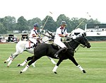   at the Mercedes Benz Polo Challenge on 7-24-04 in Bridgehamton, N.Y.  photo by Rob Rich copyright 2004<br>516-676-3939  robwayne1@aol.com