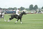   at the Mercedes Benz Polo Challenge on 7-24-04 in Bridgehamton, N.Y.  photo by Rob Rich copyright 2004<br>516-676-3939  robwayne1@aol.com