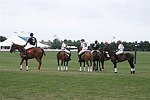  at the Mercedes Benz Polo Challenge on 7-24-04 in Bridgehamton, N.Y.  photo by Rob Rich copyright 2004<br>516-676-3939  robwayne1@aol.com
