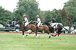   at the Mercedes Benz Polo Challenge on 7-24-04 in Bridgehamton, N.Y.  photo by Rob Rich copyright 2004<br>516-676-3939  robwayne1@aol.com